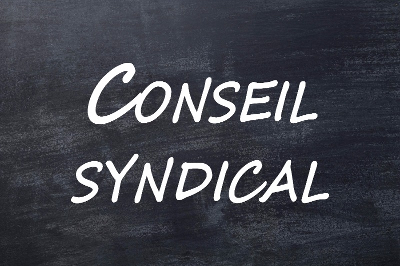 Photo Conseil Syndical des écoles